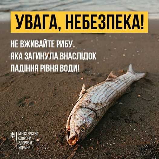 Про мор риби та небезпеку від її вживання!